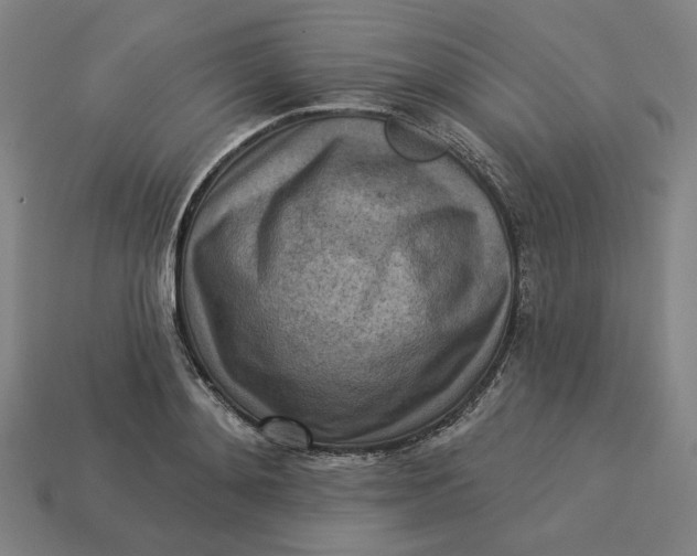 X0000113340892200910060955