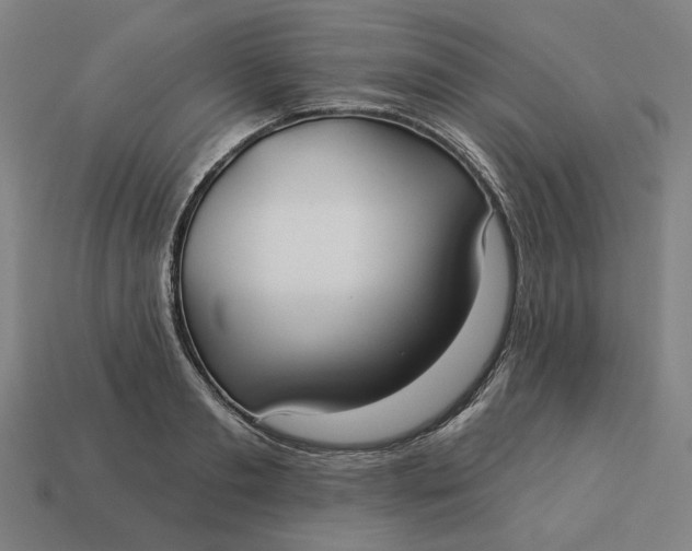 X0000113340893200910060955