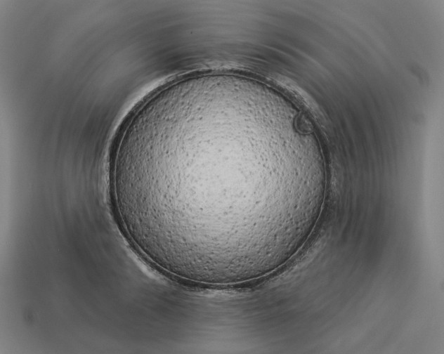 X0000113340894200910060955