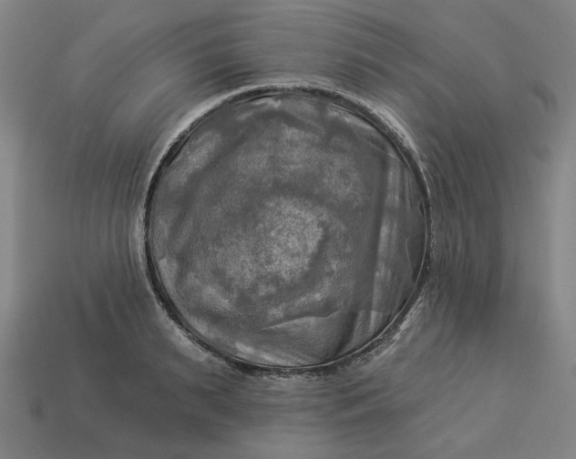 X0000113340895200910060955