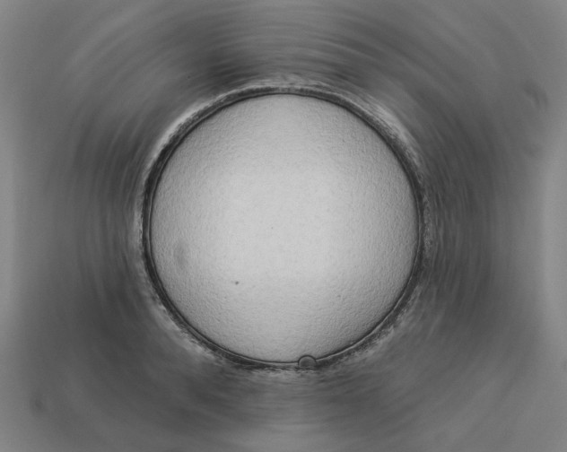 X0000113340896200910060955