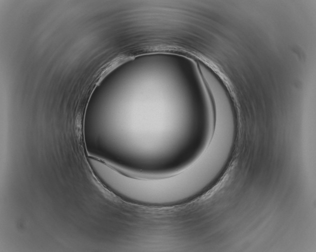 X0000113340897200910060955