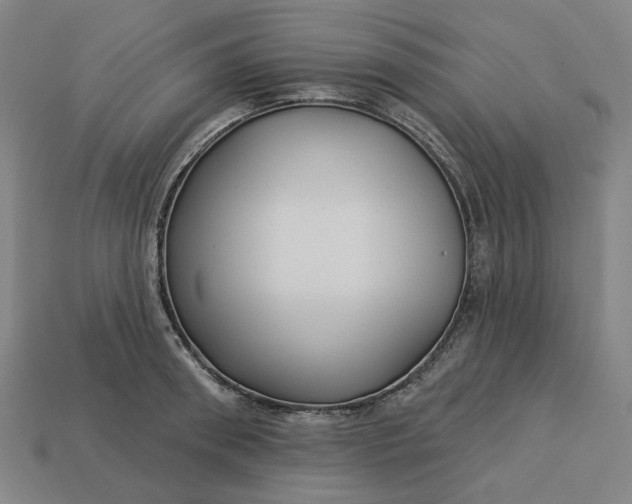 X0000113340898200910060955