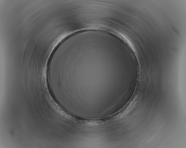 X0000113340899200910060955