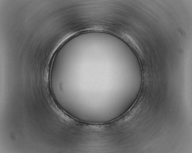 X0000113340900200910060955