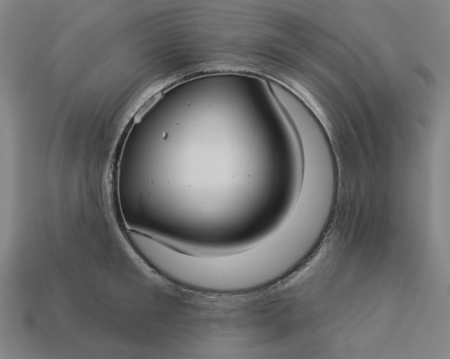 X0000113340901200910060955