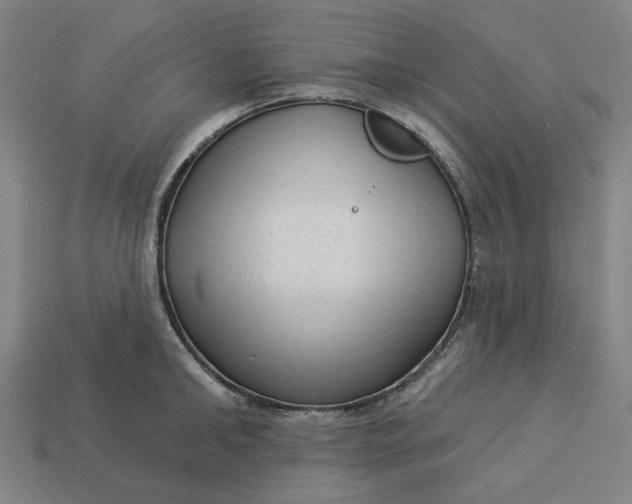 X0000113340902200910060955