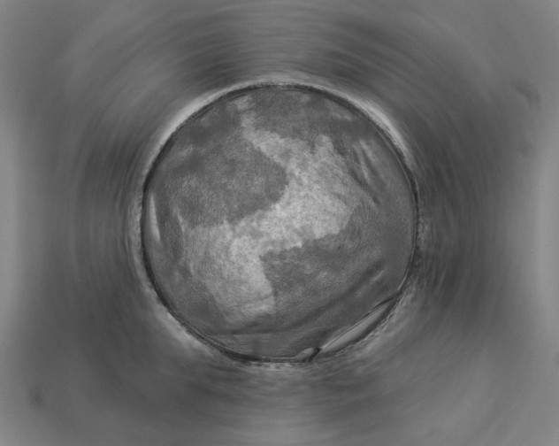 X0000113340903200910060955