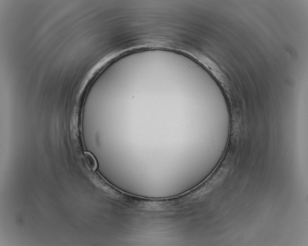 X0000113340904200910060955