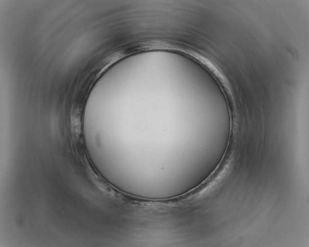 X0000113340905200910060955