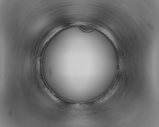 X0000113340906200910060955