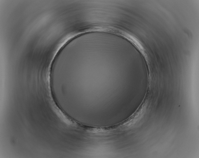 X0000113340907200910060955