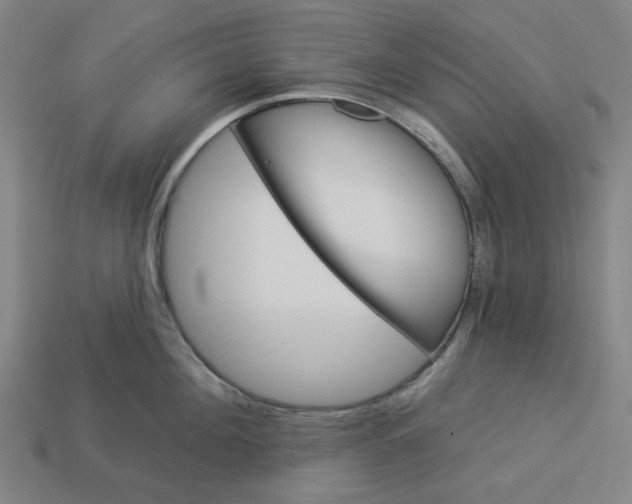 X0000113340908200910060955