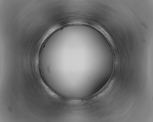 X0000113340909200910060955