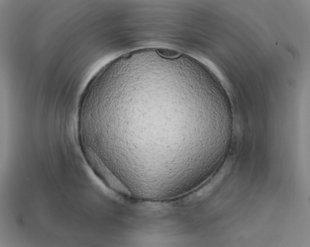 X0000113340910200910060955