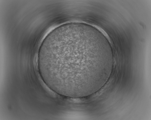 X0000113340911200910060955