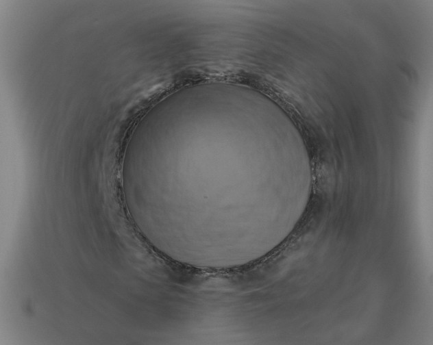 X0000113340913200910060954