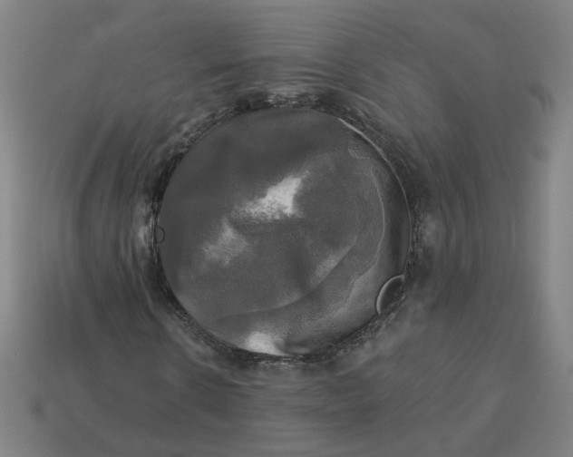 X0000113340914200910060954