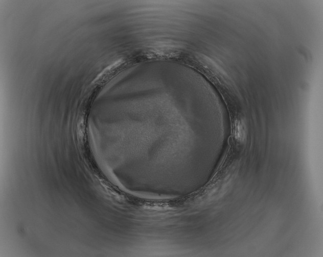 X0000113340915200910060954