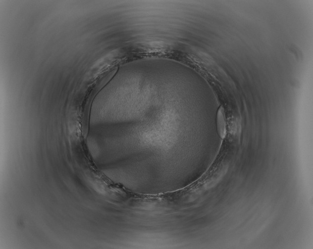 X0000113340916200910060954