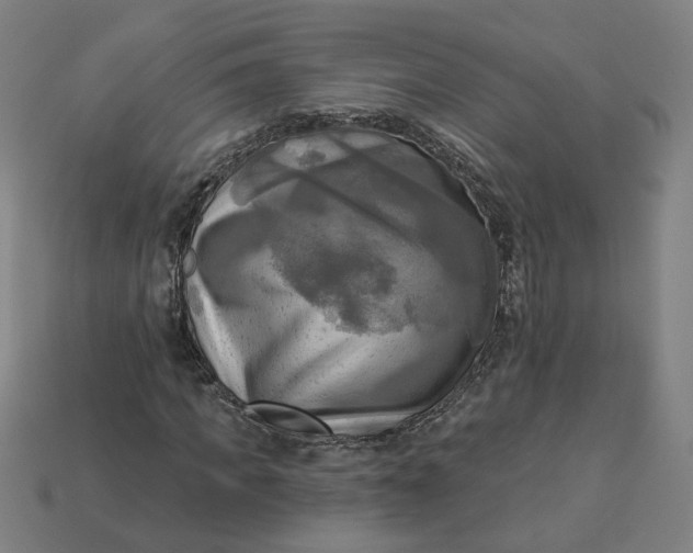 X0000113340917200910060954