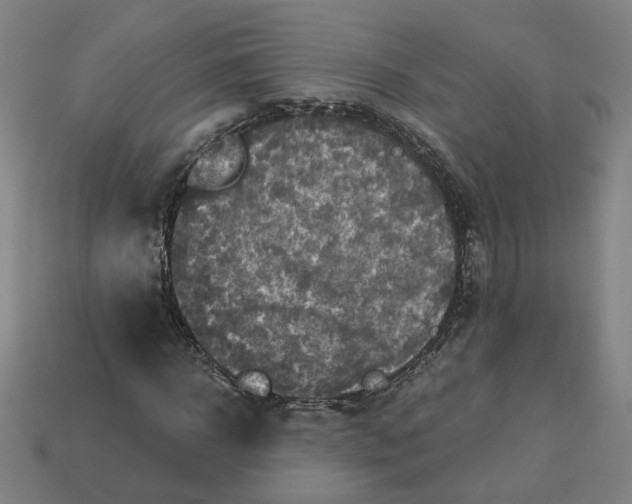 X0000113340918200910060954