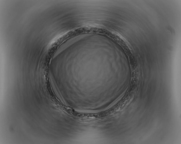 X0000113340919200910060954