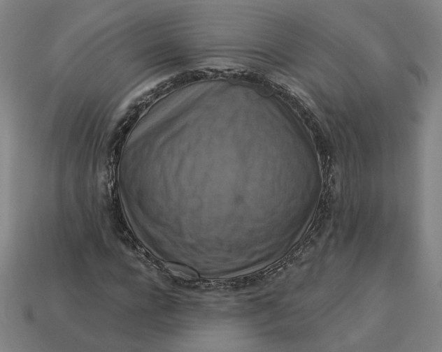 X0000113340920200910060954