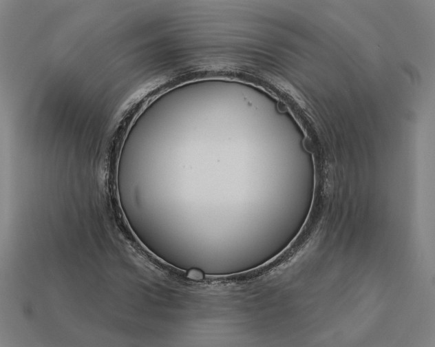 X0000113340922200910060954