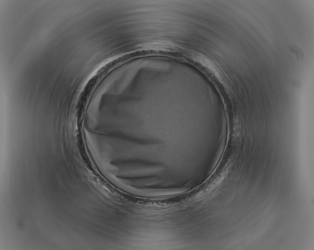 X0000113340923200910060954