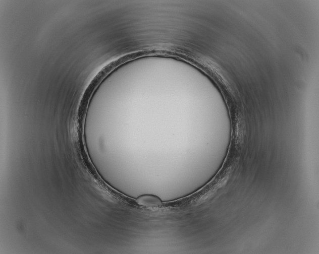 X0000113340924200910060954