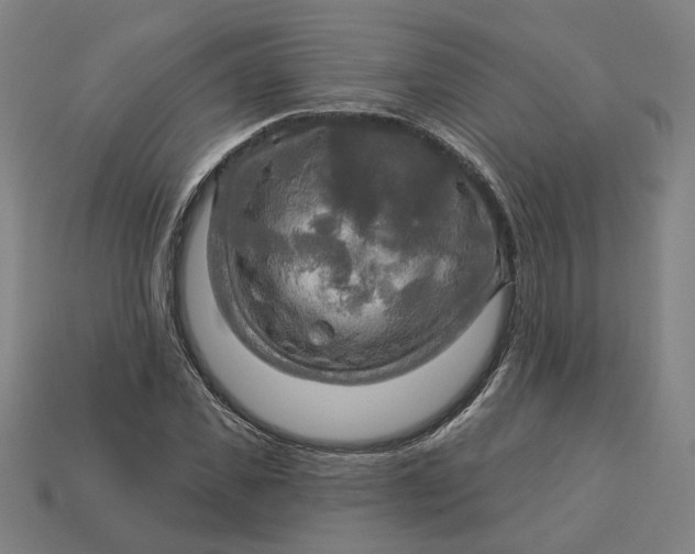 X0000113340925200910060955