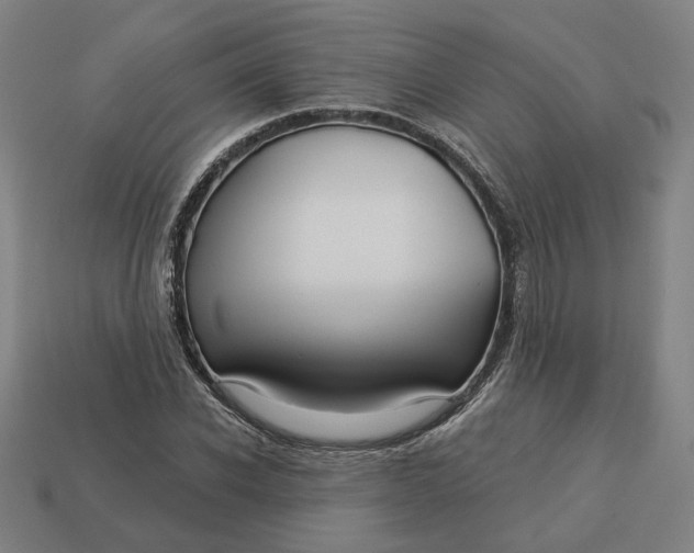 X0000113340926200910060955