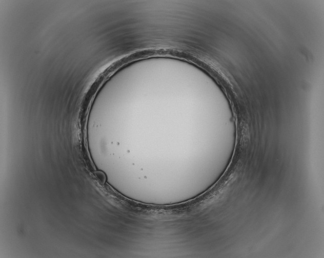 X0000113340927200910060955