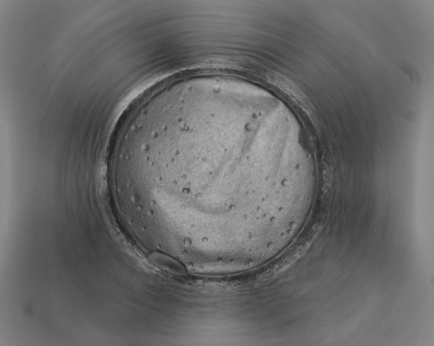 X0000113340928200910060955