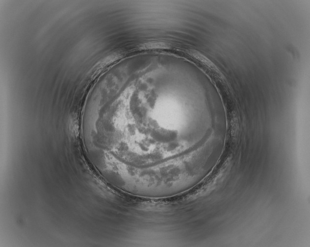 X0000113340929200910060955