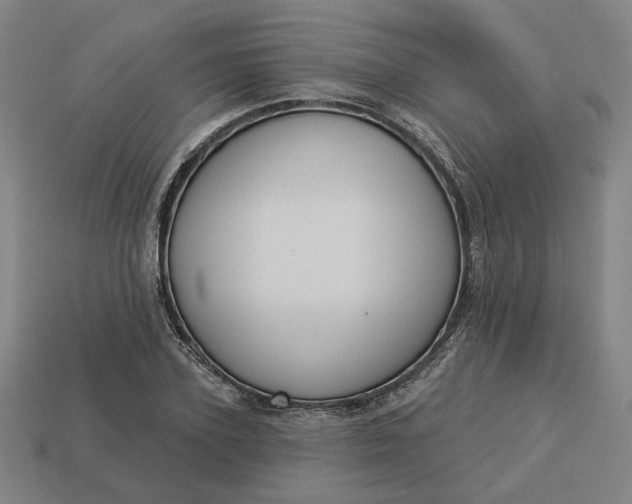 X0000113340931200910060955