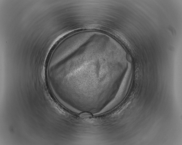 X0000113340932200910060955