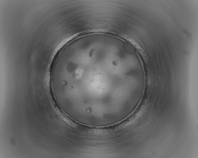 X0000113340933200910060955