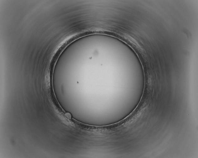 X0000113340934200910060955