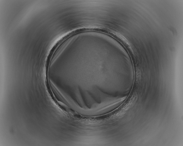 X0000113340935200910060955