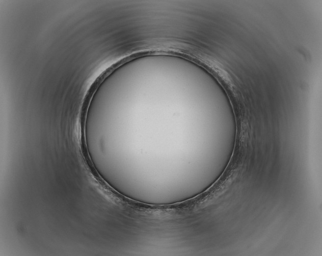 X0000113340936200910060955