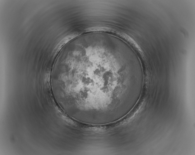 X0000113340937200910060955