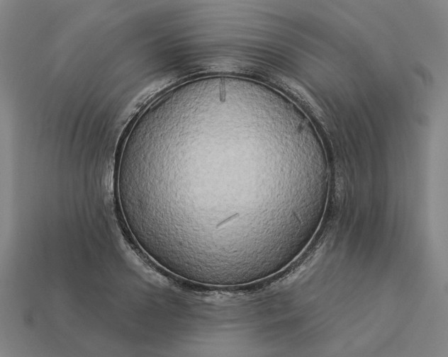 X0000113340938200910060955