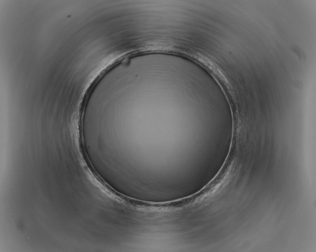 X0000113340941200910060955