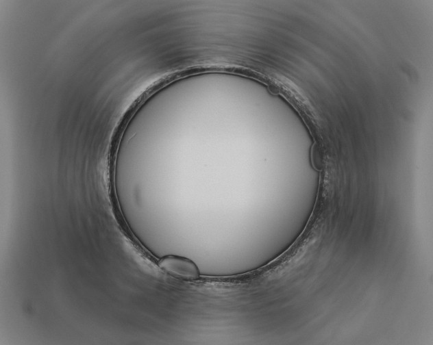 X0000113340942200910060955