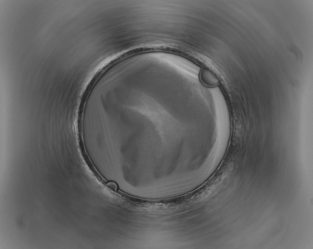 X0000113340943200910060955