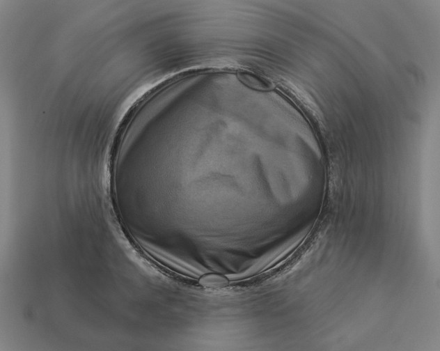 X0000113340944200910060955