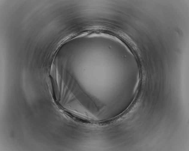 X0000113340945200910060955