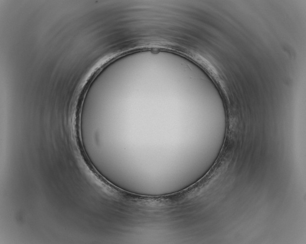 X0000113340947200910060955